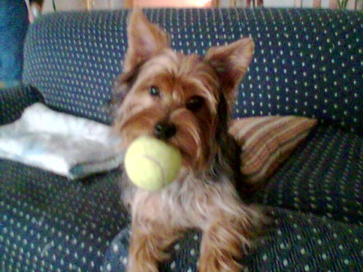 con su pelota